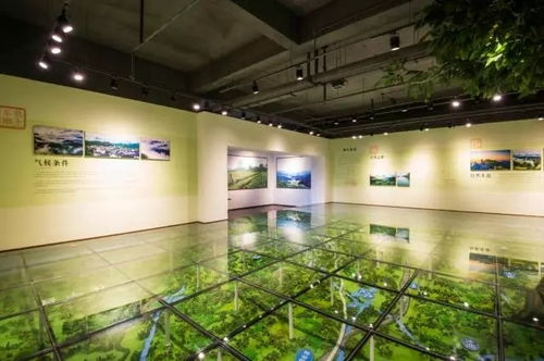 捷報再傳 祁紅博物館獲批2017 2021年度安徽省科普教育基地